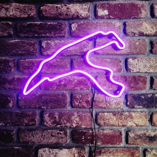 Neon Track – Ledowa nitka F1